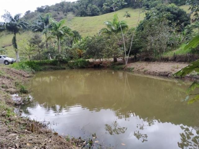 #302 - Chácara para Venda em Santa Leopoldina - ES - 3