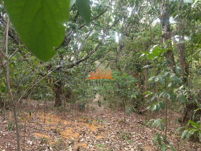 Chácara para Venda em Guarapari - 5