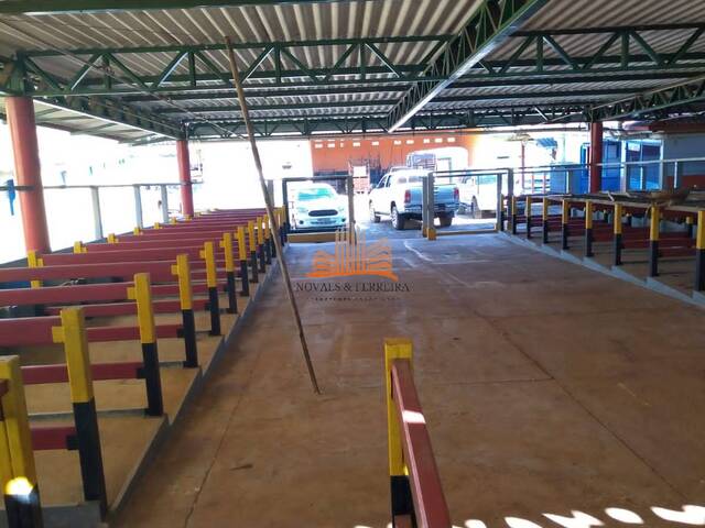 Chácara para Venda em Bom Despacho - 5