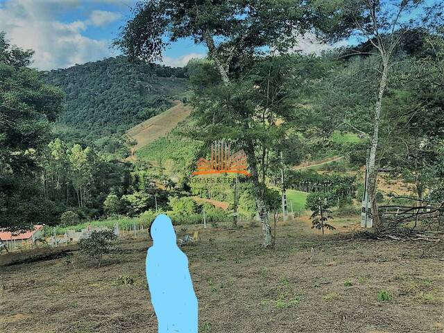 Chácara para Venda em Marechal Floriano - 4