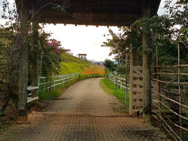 #1318 - Haras para Venda em Pindamonhangaba - SP - 3