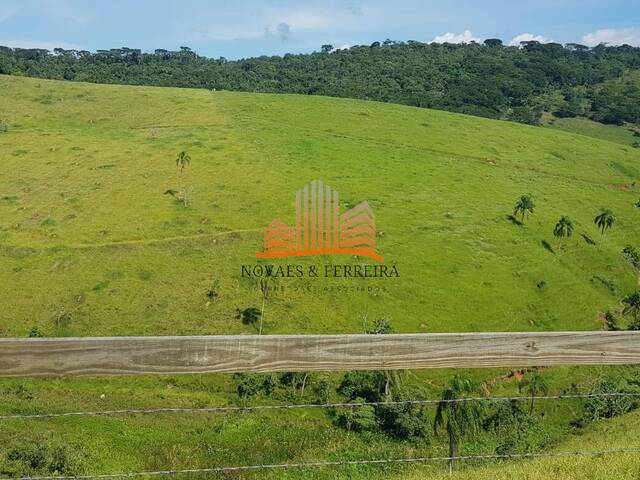 Haras para Venda em Pindamonhangaba - 4