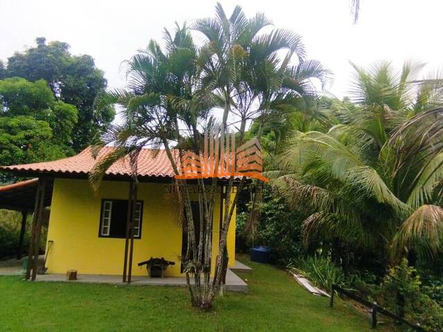 #1599 - Sítio para Venda em Santa Leopoldina - ES - 3