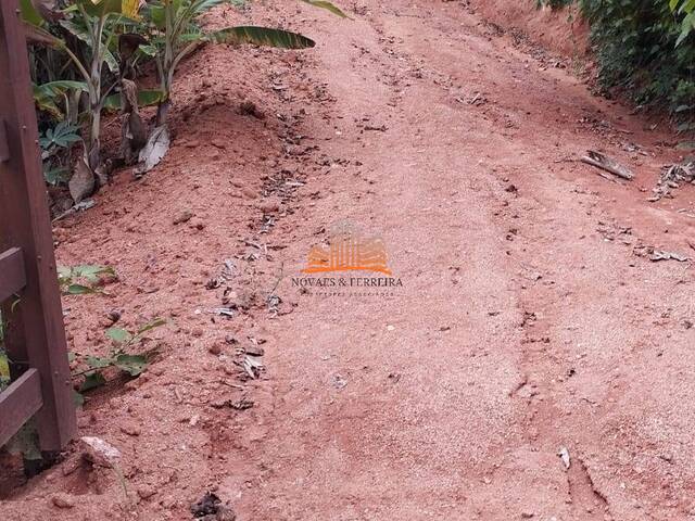 Área para Venda em Santa Leopoldina - 5