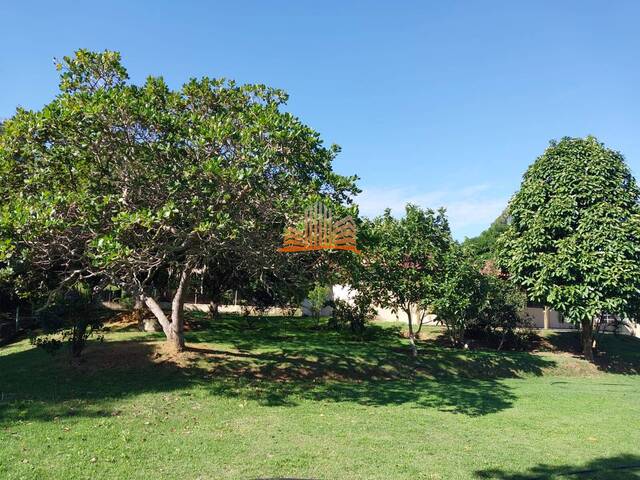 #1616 - Chácara para Venda em Vila Velha - ES - 3