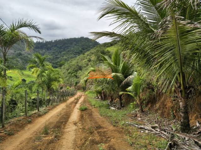 #1746 - Sítio para Venda em Vila Velha - ES
