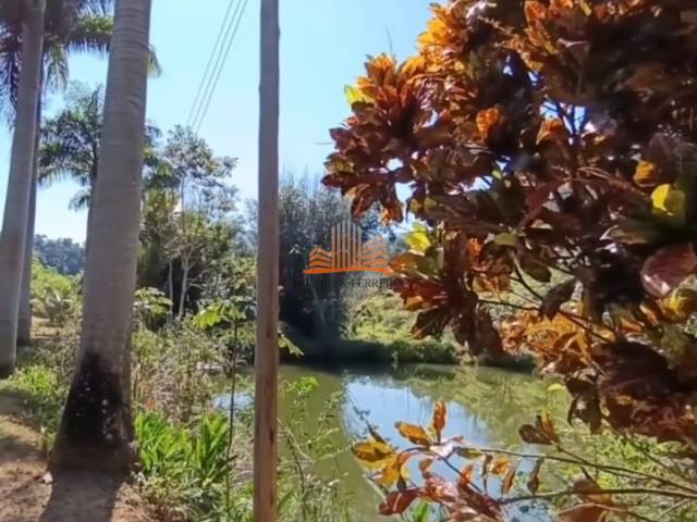 #1745 - Sítio para Venda em Vila Velha - ES - 3